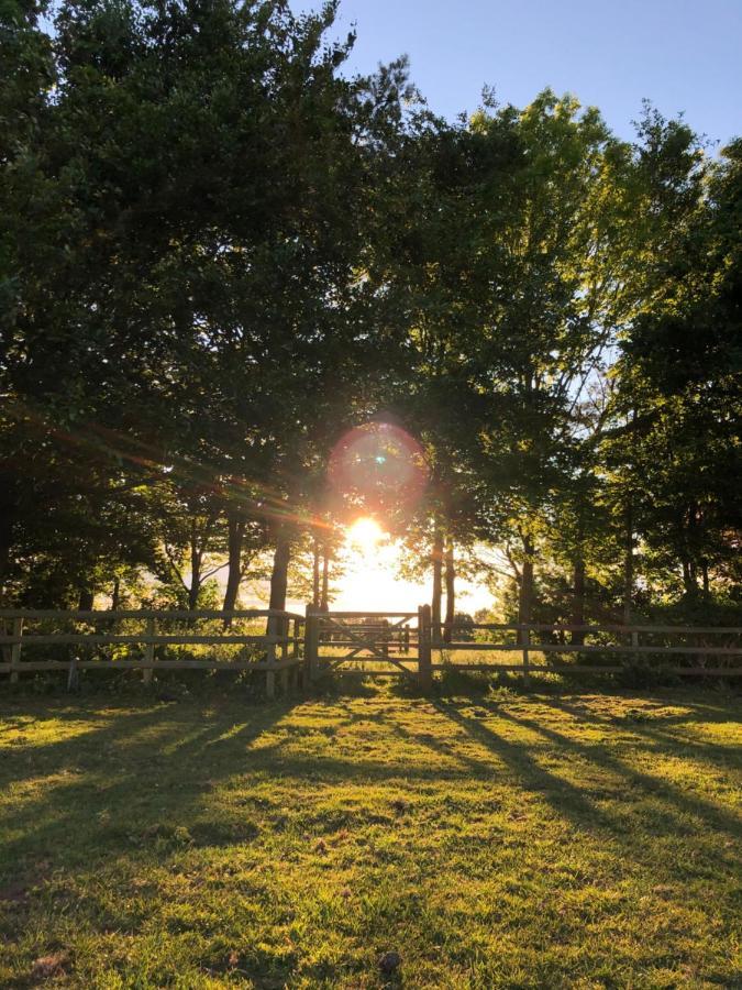 Hotel Nine Acres, Peaceful Brackley  Exteriér fotografie